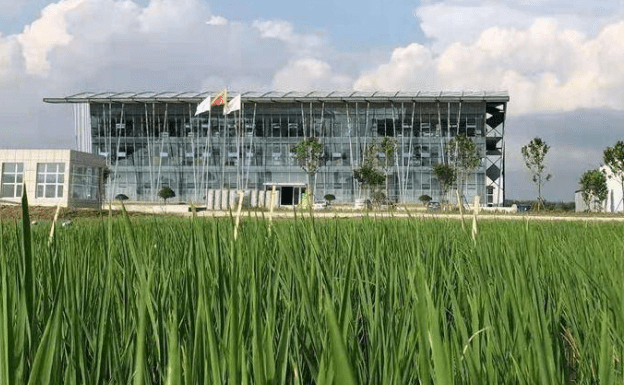 国家耐盐碱水稻技术创新中心—推动中国农业可持续发展的关键力量