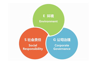ESG评价标准：关注企业的环境、社会和治理影响