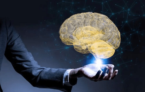 科技大脑：解析智能科技的未来发展趋势