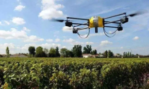 人工智能农业发展：为农业现代化赋能与转型
